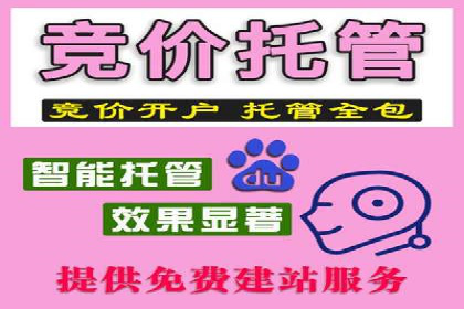 SEM精准广告投放的五大成功案例